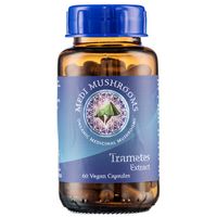 Medi Mushrooms Turkey Tail/Trametes